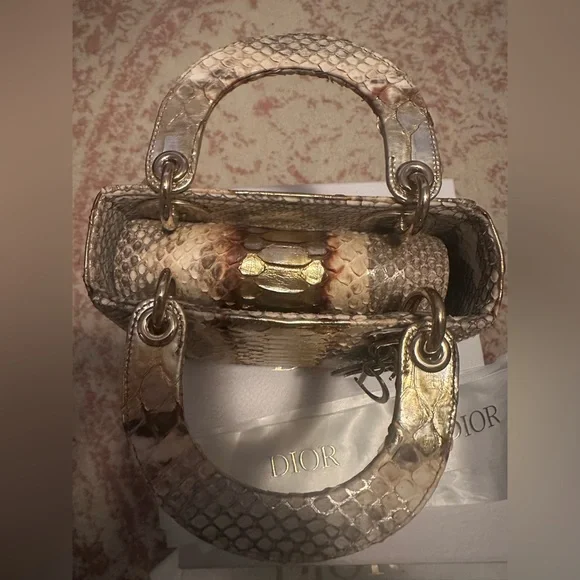 Lady Dior in Rare Gold/Bronze Python - Picture 13 of 14